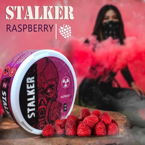 Насыщенный вкус чая Stalker Raspberry