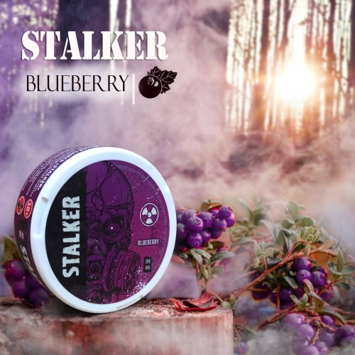 Сочная Черника Stalker: Ваш идеальный ягодный выбор